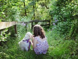 Scientific Evidence That Our Pets Really Do Love Us