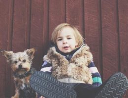 On Pet Ownership and Stress Relief