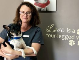 Juggling Parenting & Pets