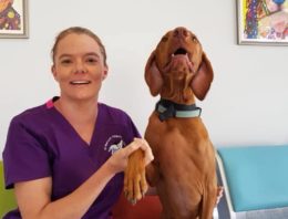 Meet Dr Belinda Standcombe