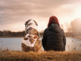 This Company Let’s You Take Leaves for Your Ailing or Recently Deceased Pet