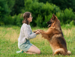 The 10 Most Popular Pets In AUSTRALIA