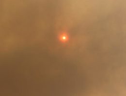 What to Do When Bushfires Hit Your Home